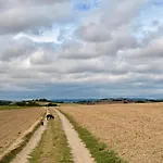 Hof Zur Nette -stilvoller Rueckzugsort Im Herzen Des Maifelds * Polch