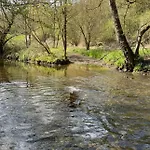 Hof Zur Nette -stilvoller Rueckzugsort Im Herzen Des Maifelds *