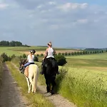 Hof Zur Nette -stilvoller Rueckzugsort Im Herzen Des Maifelds Holiday home *