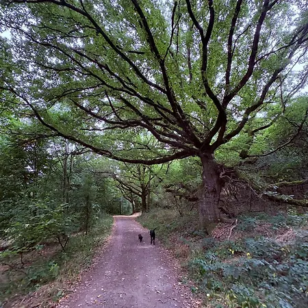 Casa de Férias Hof Zur Nette -stilvoller Rueckzugsort Im Herzen Des Maifelds *
