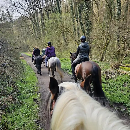 Hof Zur Nette -stilvoller Rueckzugsort Im Herzen Des Maifelds * Polch