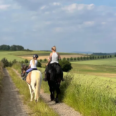 Hof Zur Nette -stilvoller Rueckzugsort Im Herzen Des Maifelds Casa de Férias *