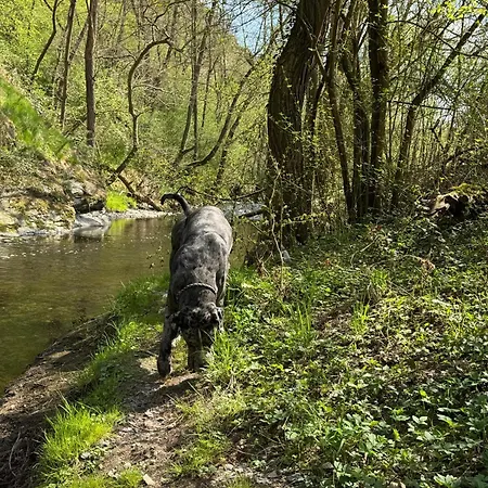 Casa de Férias Hof Zur Nette -stilvoller Rueckzugsort Im Herzen Des Maifelds Polch