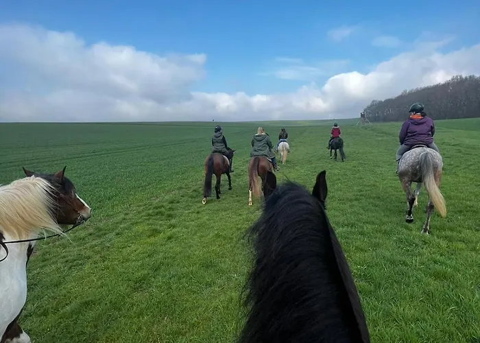 Hof Zur Nette -stilvoller Rueckzugsort Im Herzen Des Maifelds Semesterbostad