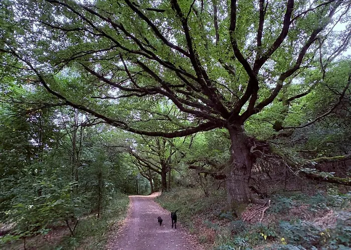 Semesterbostad Hof Zur Nette -stilvoller Rueckzugsort Im Herzen Des Maifelds *