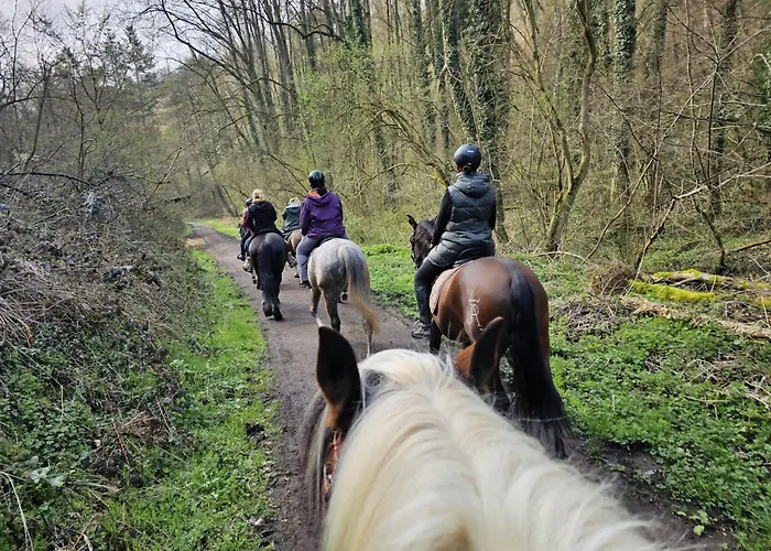 Hof Zur Nette -stilvoller Rueckzugsort Im Herzen Des Maifelds * Polch
