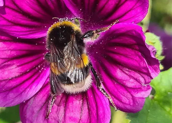 Hof Zur Nette -stilvoller Rueckzugsort Im Herzen Des Maifelds *