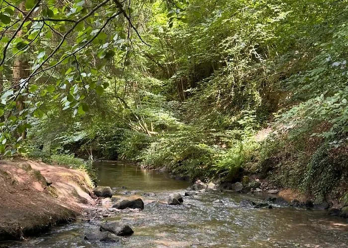 Semesterbostad Hof Zur Nette -stilvoller Rueckzugsort Im Herzen Des Maifelds *