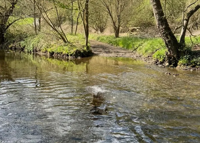 Hof Zur Nette -stilvoller Rueckzugsort Im Herzen Des Maifelds *