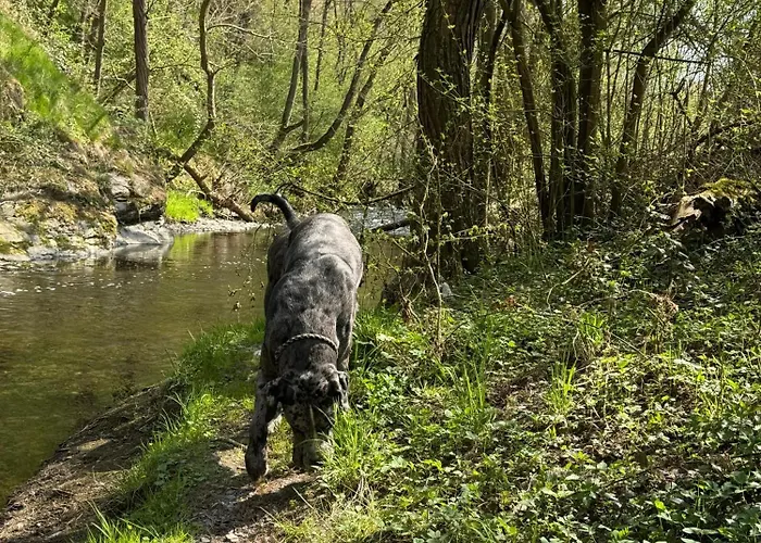 Casa de Férias Hof Zur Nette -stilvoller Rueckzugsort Im Herzen Des Maifelds Polch